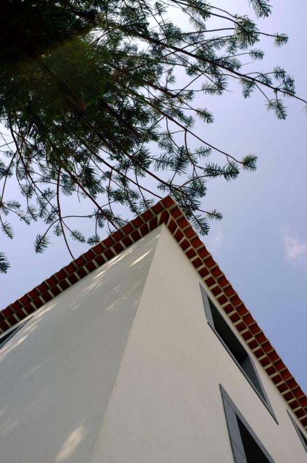 Casa Oliveira Esmeraldo - Guest Houses São Vicente Exterior photo